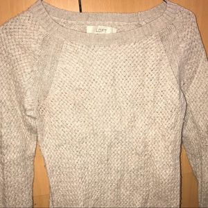 Ann Taylor LOFT Soft Knit Sweater